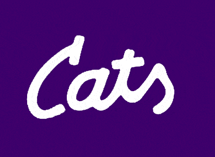 Kansas State Wildcats 1988 Wordmark Logo iron on heat transfers